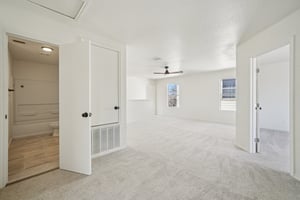 Sycamore Cv-S1002-027.jpg