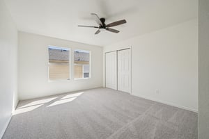 Sycamore Cv-S1002-029.jpg