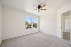 Sycamore Cv-S1002-031.jpg