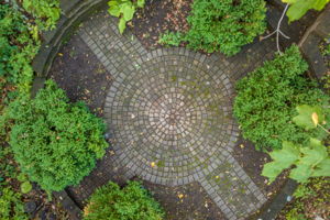  Photo 42