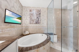 Master Tub and Shower