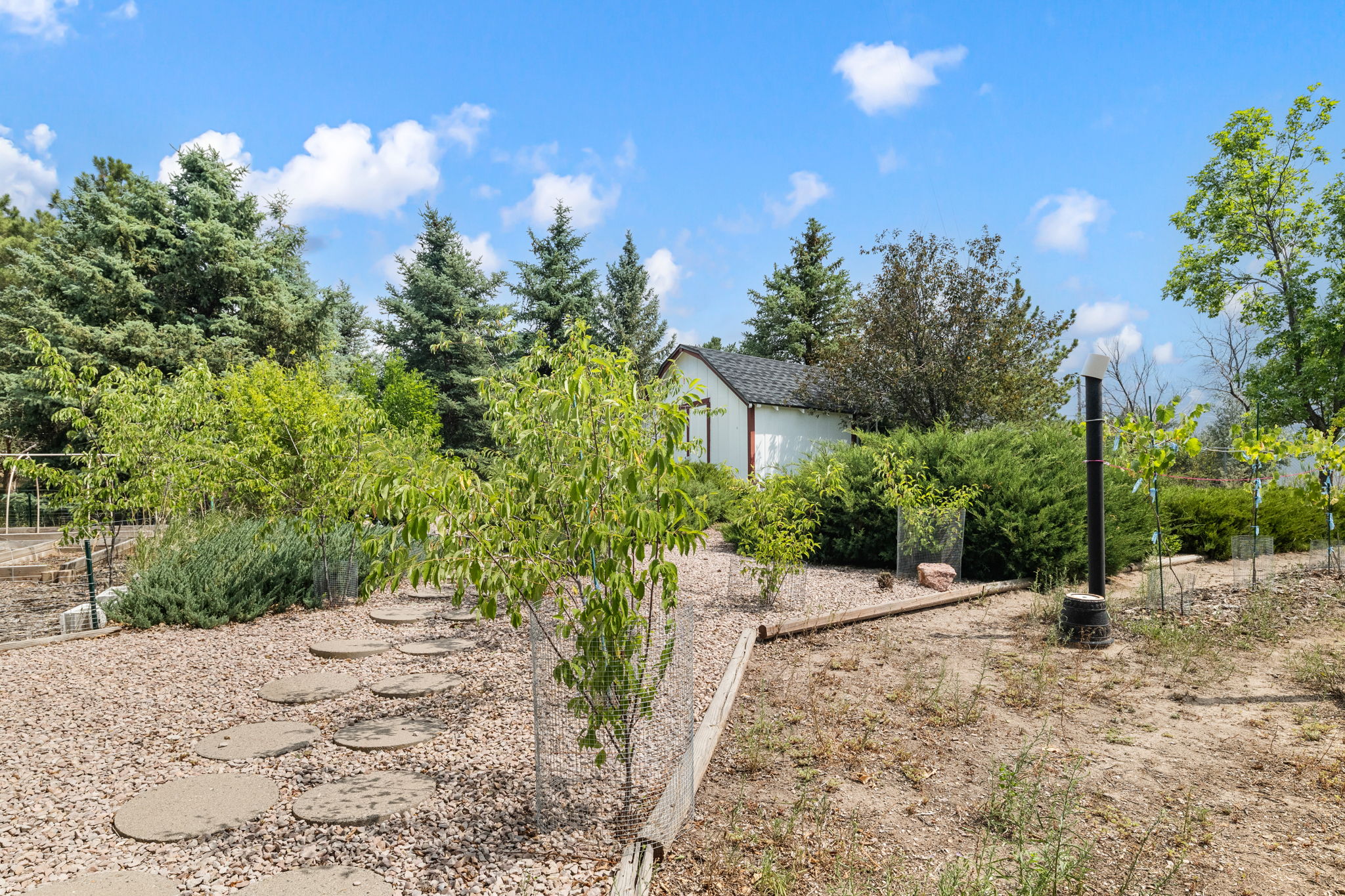Garden 1