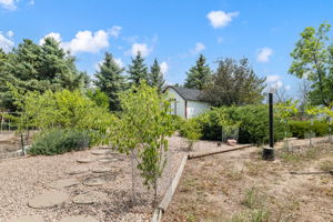 Garden 1