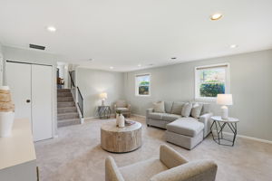 Lower Level Entertainment Area