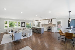 Open Concept Kitchen and Family Room