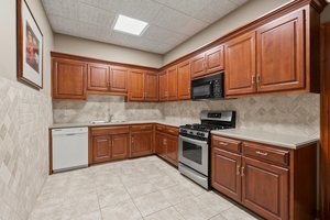 Lower Level - Kitchen