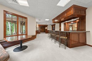 Lower Level - Bar Area
