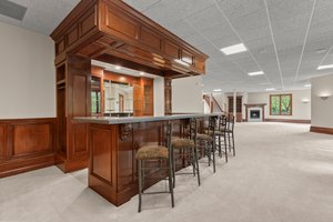 Lower Level - Bar Area
