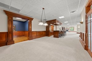 Lower Level - Bar Area