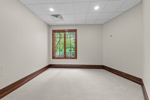 Lower Level - Bedroom