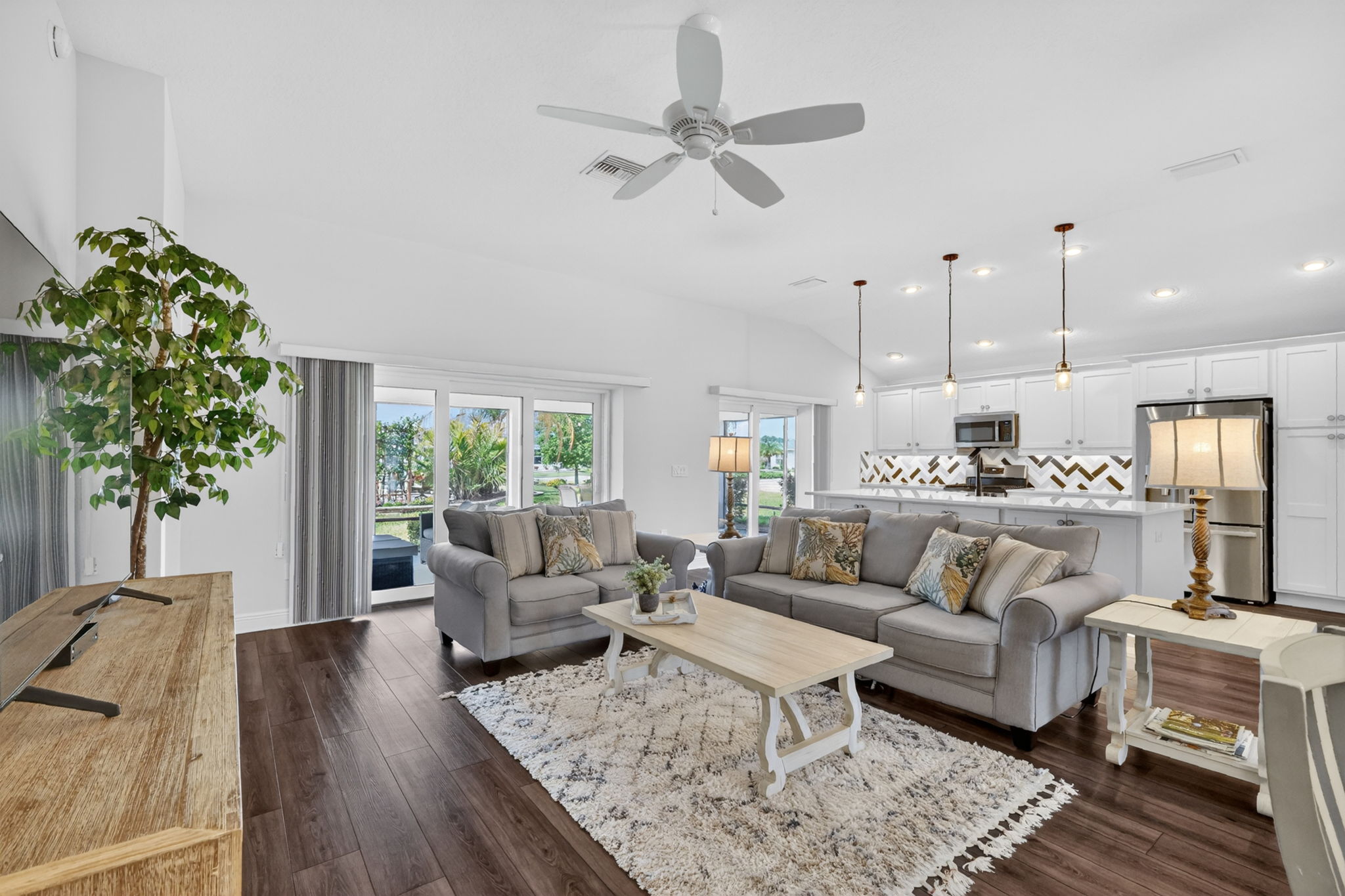 Living Room and Kitchen