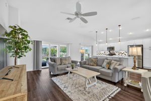 Living Room and Kitchen