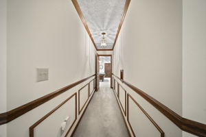  Photo 50