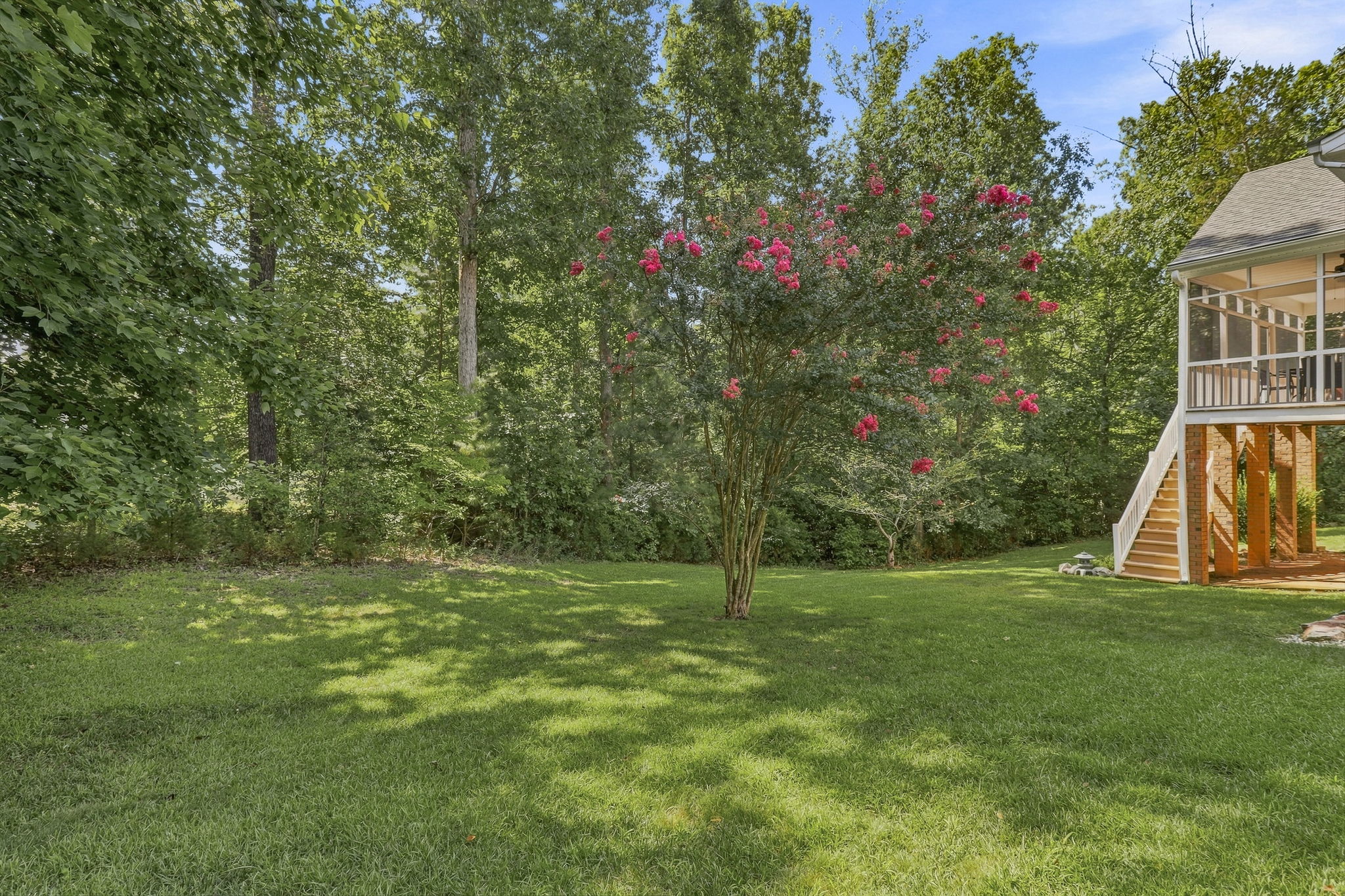 32-Backyard