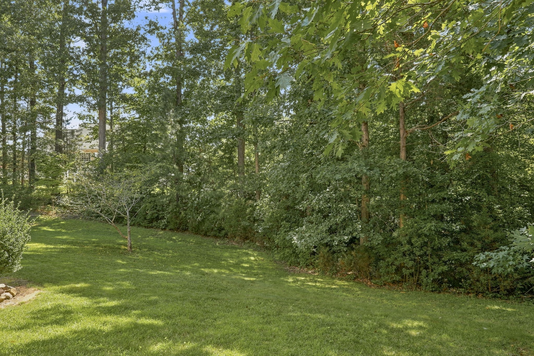 33-Backyard