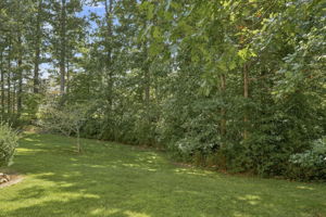 33-Backyard