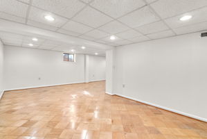 Recreation Room/Flex Space