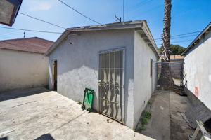  Photo 43