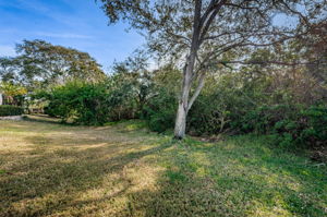 Backyard4