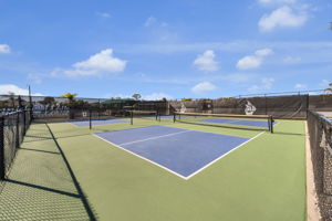 Pickleball Court