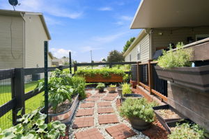  Photo 44