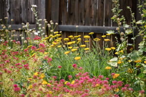  Photo 40