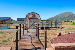 Bridge to Chicken Coop
