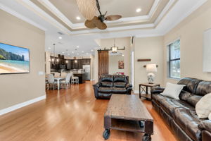 Living View 3