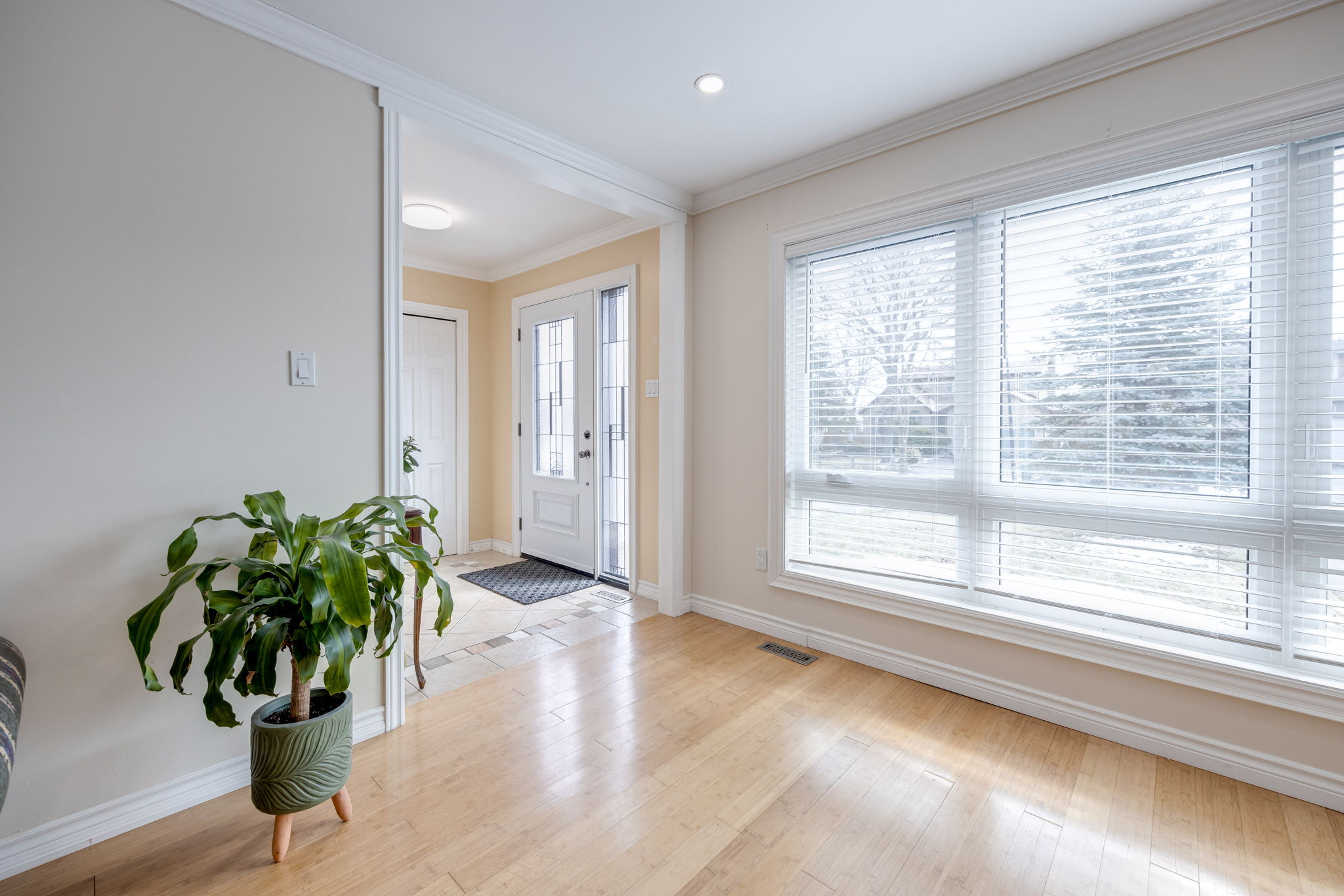 Newmarket property showcase — delivered property photograph 10
