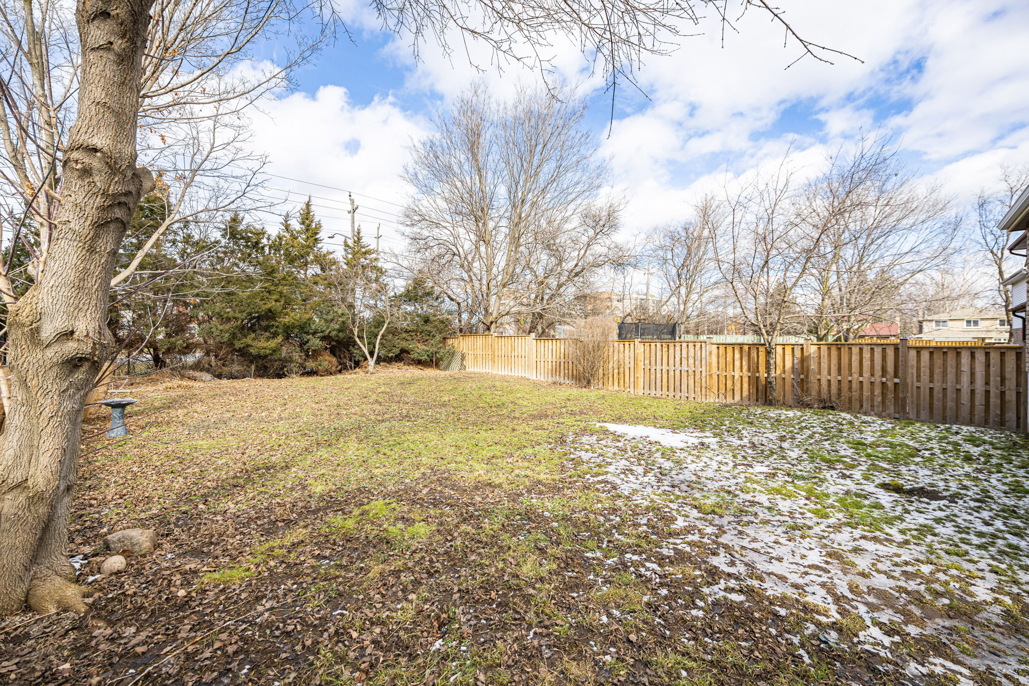 Newmarket property showcase — delivered property photograph 39