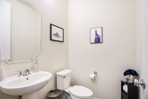  Photo 45