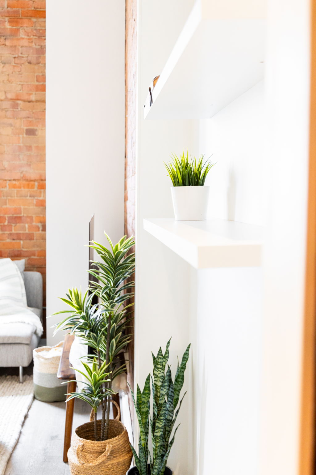 Toronto property showcase — delivered property photograph 14