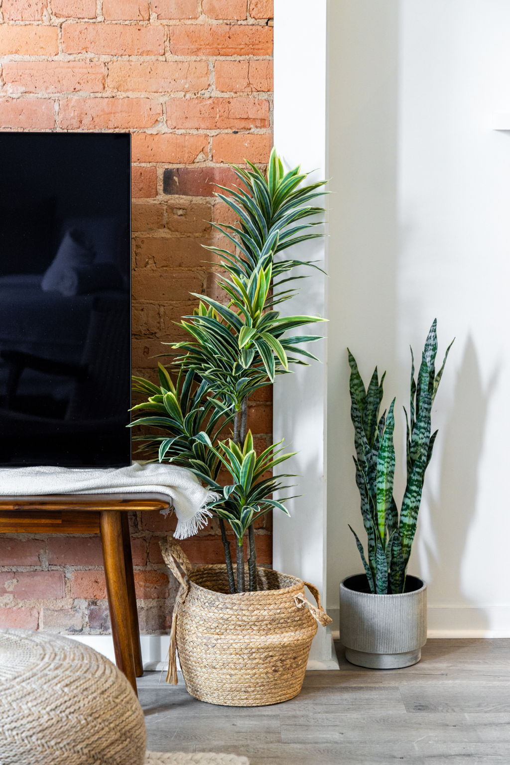 Toronto property showcase — delivered property photograph 22
