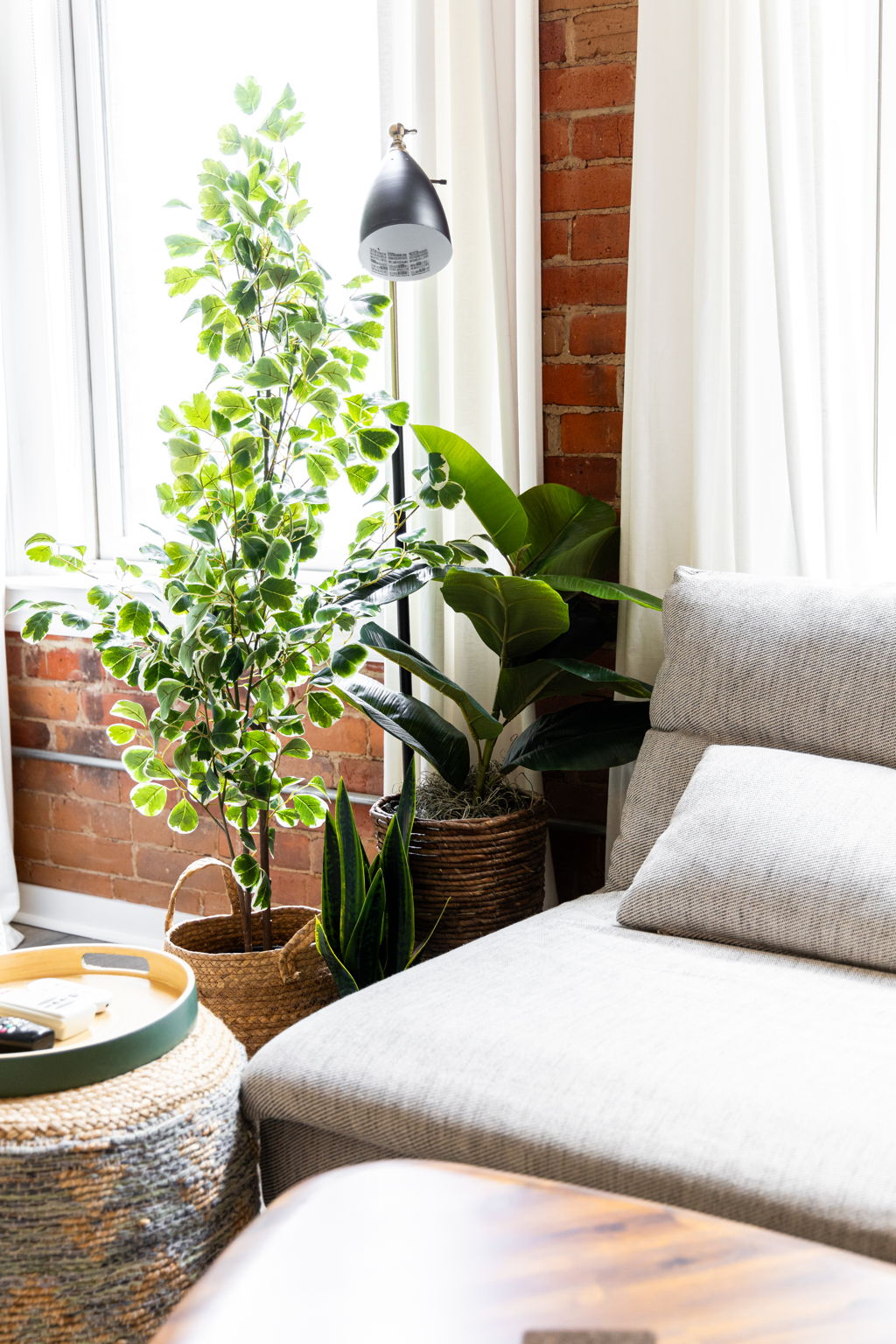 Toronto property showcase — delivered property photograph 23
