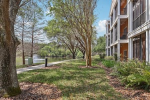 New Providence Promenade-S2503-003.jpg