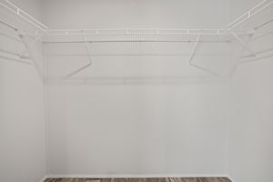 Primary Bedroom Closet