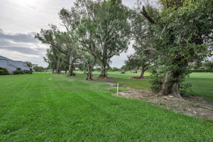 Golf View 1