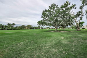 Golf View 2