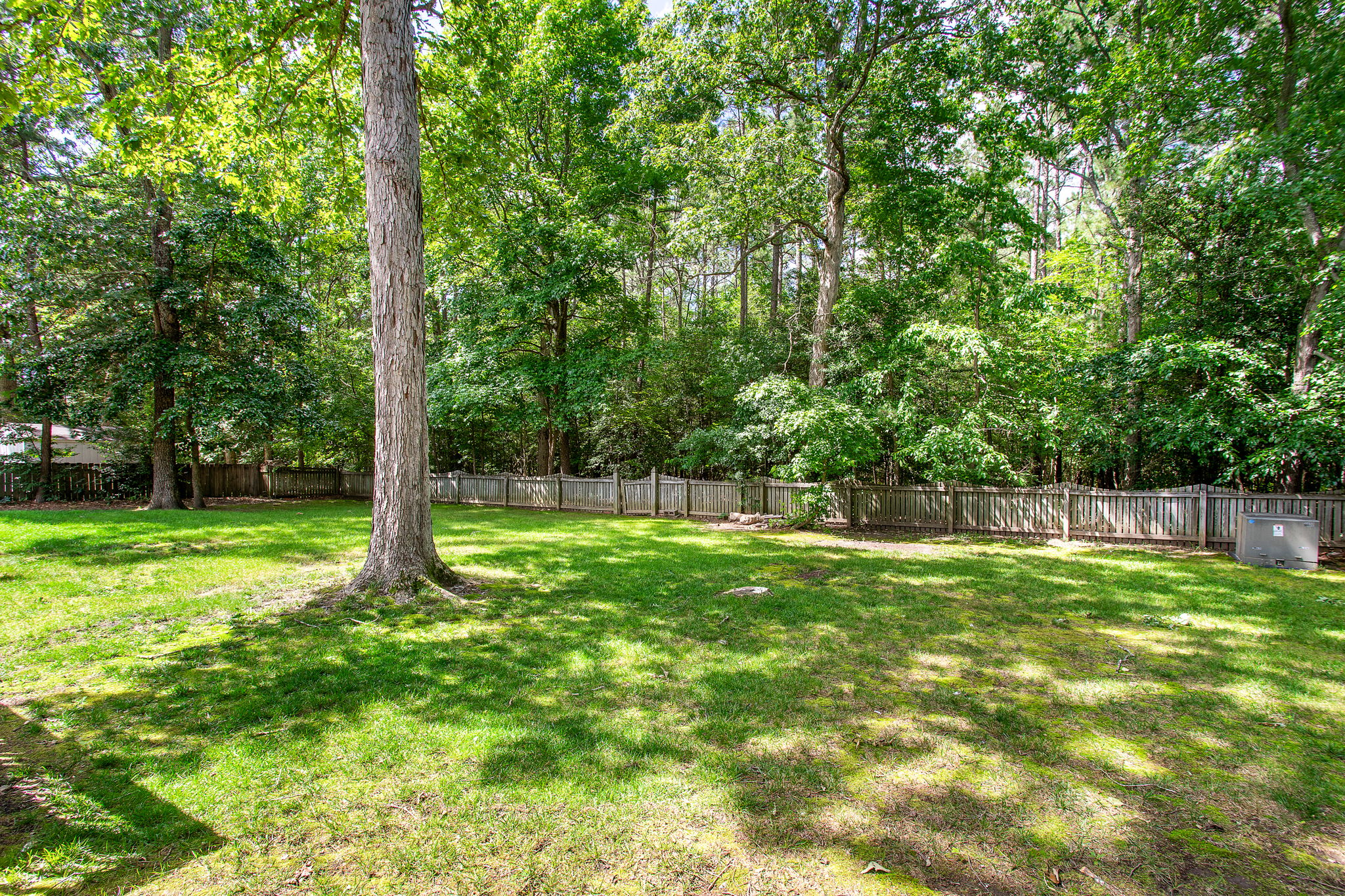 36-Backyard