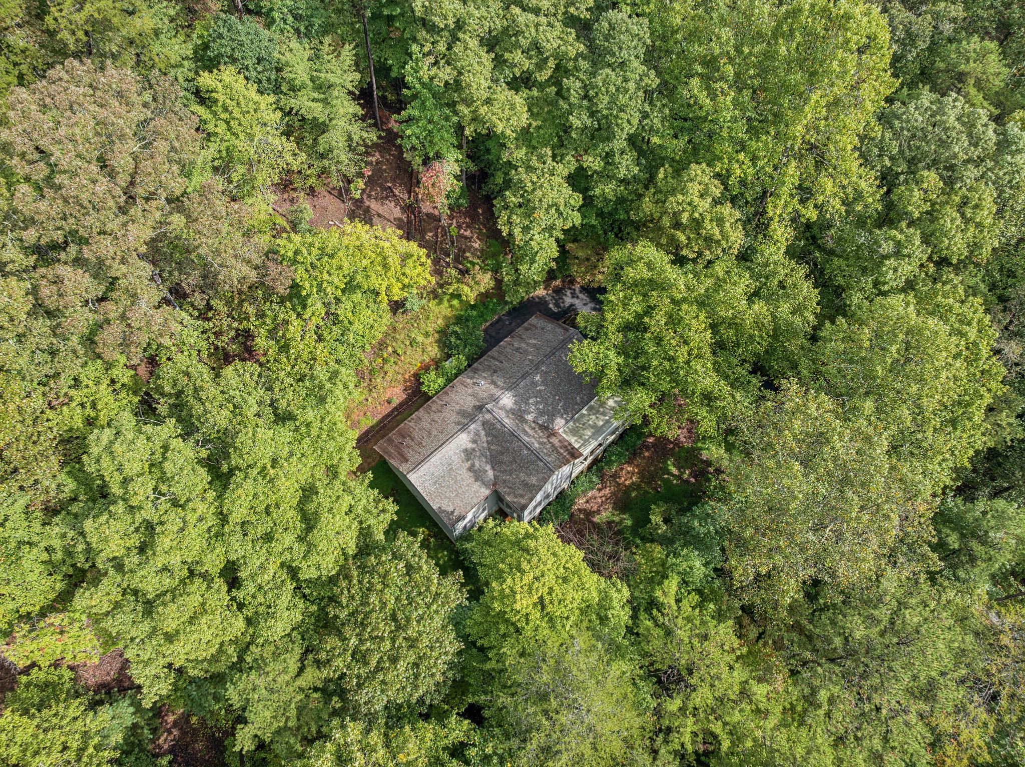 Local_Flavor_films-916 Sautee Trail, Sautee Nacoochee, GA 30571-281.jpg