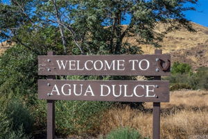9162 Old Stage Rd, Agua Dulce, CA 91390, USA Photo 45