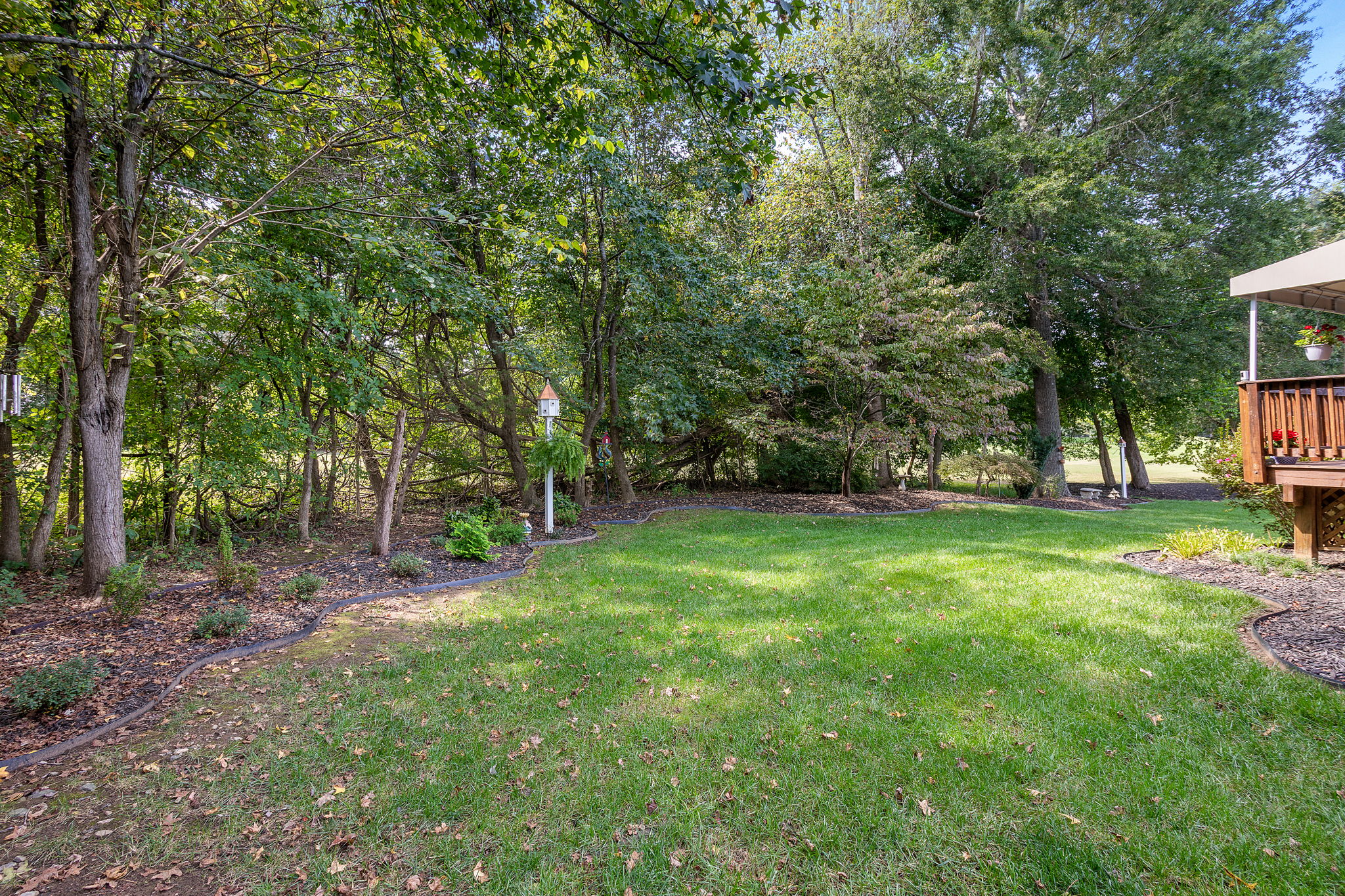 27-Backyard