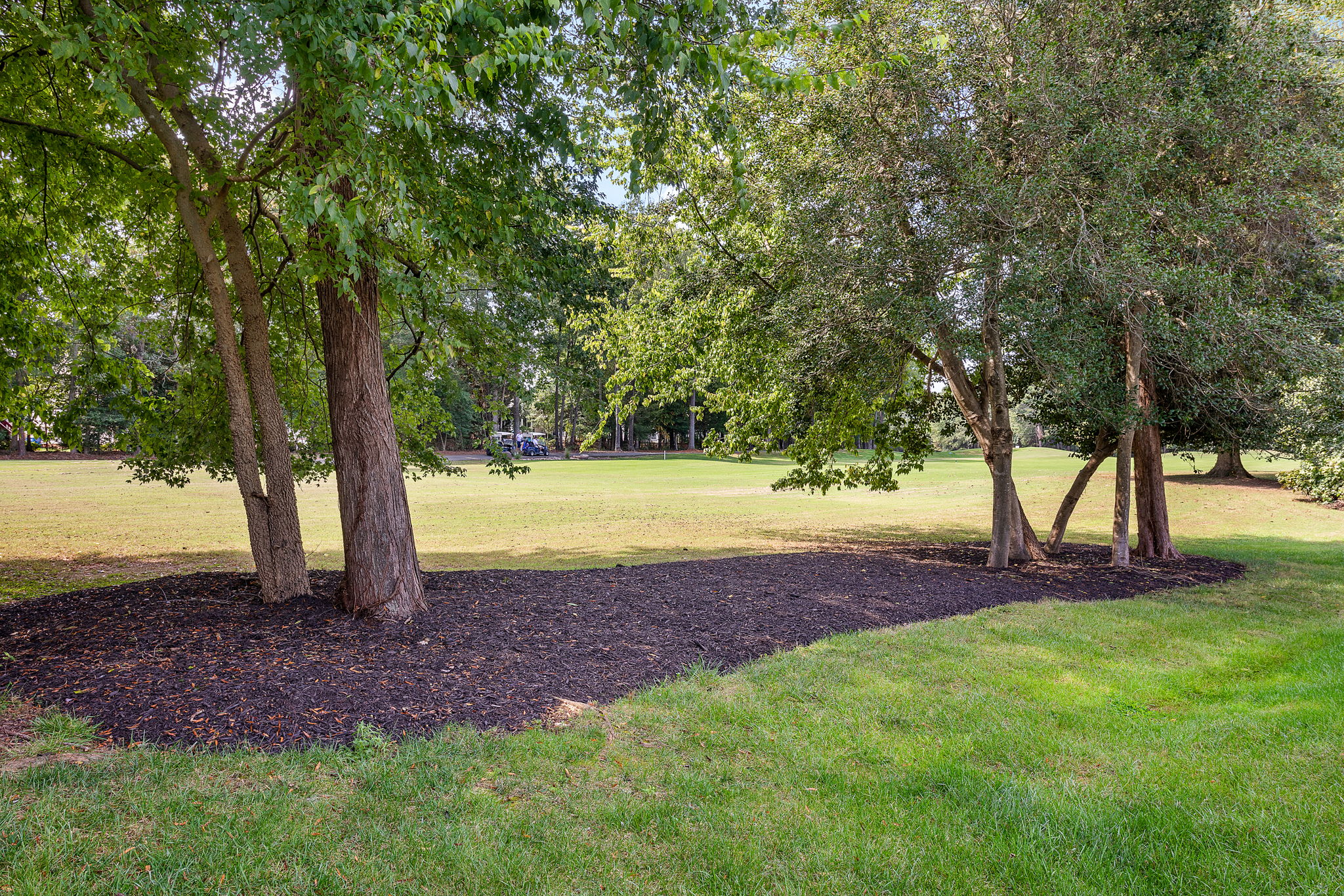 28-Backyard