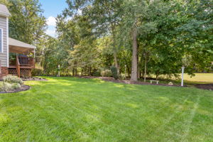 26-Backyard
