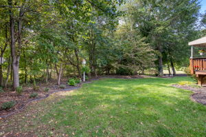 27-Backyard