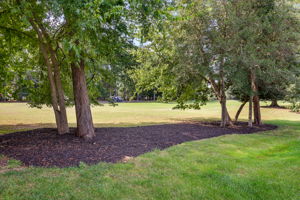 28-Backyard