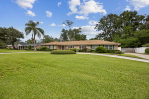 Front Yard
