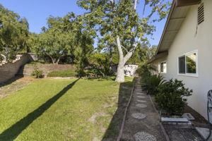  Photo 49