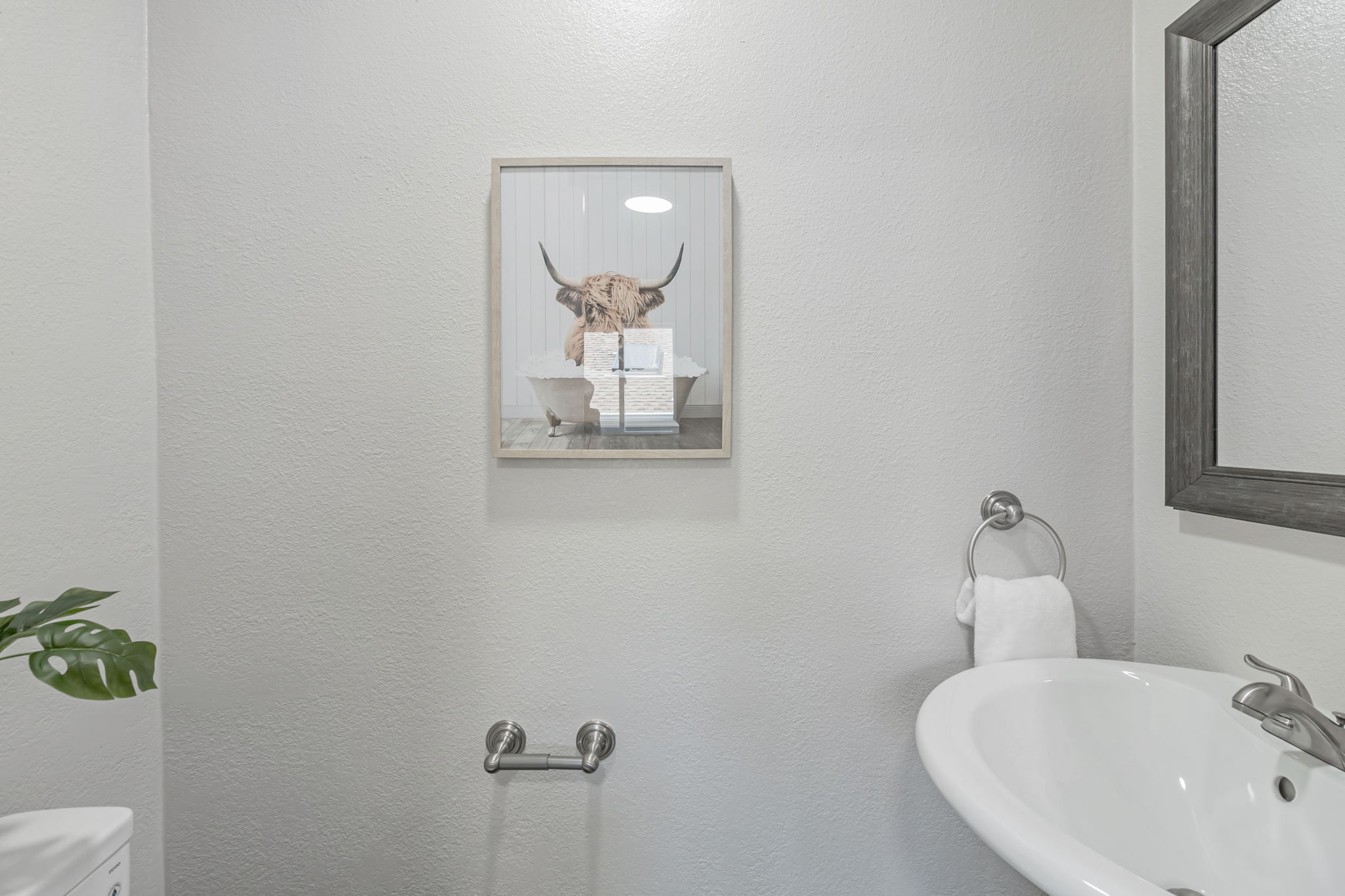  Photo 44