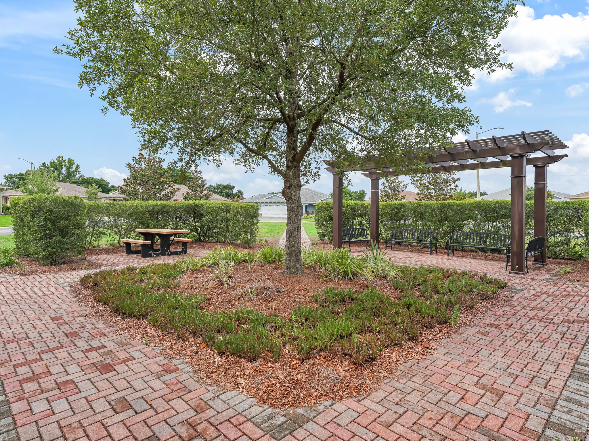  Photo 53